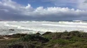 229 reactions · 132 shares | Taken this morning at Asilomar State Beach and Conference Grounds. Look at those waves! | Pacific Grove Chamber | Facebook