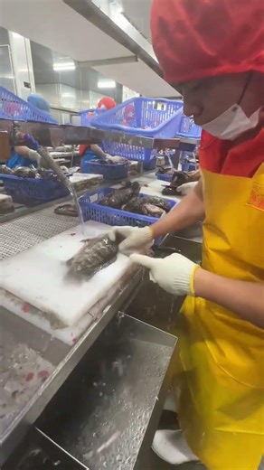 Amazing Fish Cutting: One-Clean-Slice Technique