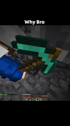 Why Bro #minecraft