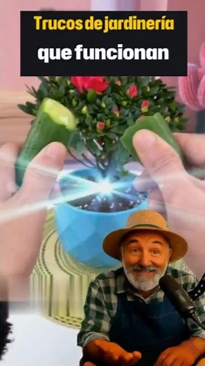 Gardening tricks that actually work
