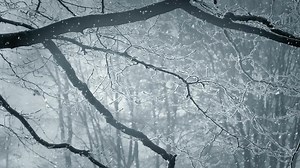 Download Winter Scenery Animation Background  for free