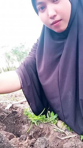 Planting Bamboo: A Step-by-Step Guide