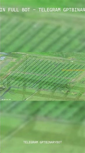 AI QUOTEX BOT 2026 - My Trading Bot That Has NEVER Lost a Day s Profit #shorts