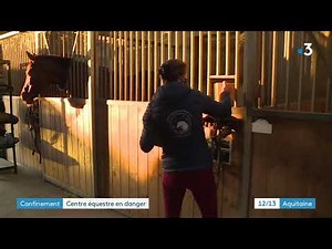 Fermé au public, chevaux à nourrir : les centres équestres sont en danger