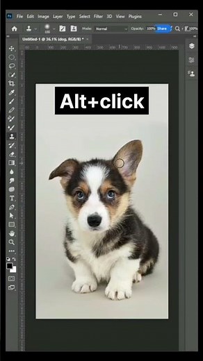 Clone Stamp Tool in Adobe Photoshop cc Tutorial | Photoshop tips | Graphic design
