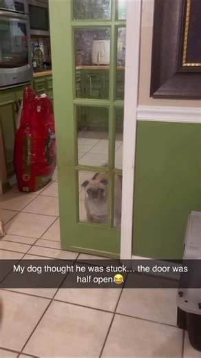 BeigeCardigan on Instagram: "He looked so sad 😂"