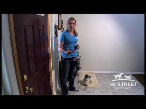 Stop Barking at the Doorbell