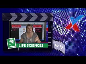 Genetics and Inheritance (Live)