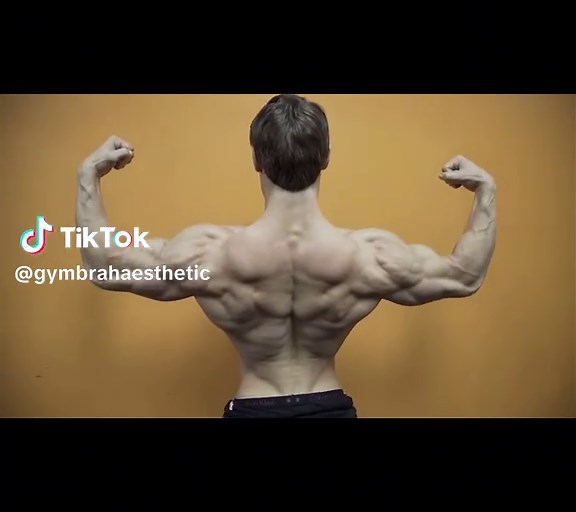 Jeff Seid's Ultimate Gym Workout Routine