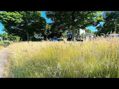 Transforming an abandoned funeral home: Community cleanup with police surprise!
