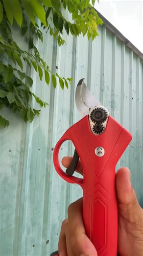 electric scissors easy use save time #tool P5252 | Tisyawarali
