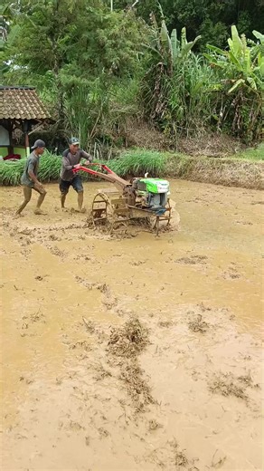 Traktor Sawah: Inovasi Pertanian Modern