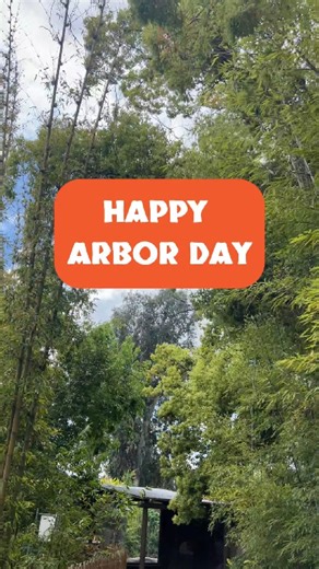 7.1K views · 70 reactions | Happy #ArborDay from Fresno Chaffee Zoo! Take a walk with Todd, our Horticulture Curator, to learn about the importance of trees and a few of his personal favorites here at the Zoo, in nature, and trees that work great right in our yards. Enjoy trees, plant trees, celebrate trees!   | Fresno Chaffee Zoo | Facebook