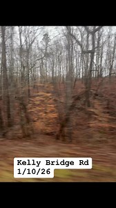 Kelly Bridge Rd 1/10/26 | Kelly Gillian