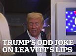 Trump oddly jokes that Leavitt's lips 'move like a machine gun'