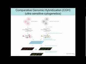 comparitive genomic hybridization