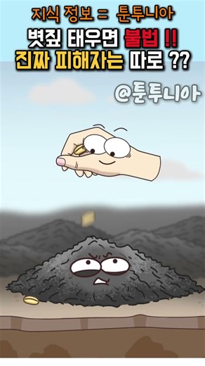 논밭 태우는 순간 벌금형? 징역형? #불법소각 #볏집 #비료 #병충해 #폐기물 관리법 #산불 #환경보호 #생태계 #자연이야기 #경각심