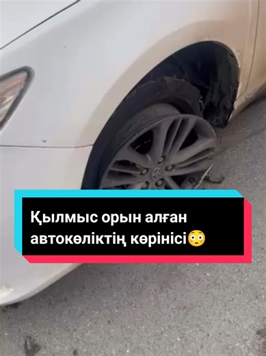😨 #шымкент #shymkent