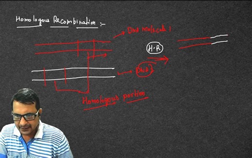 Homologous Recombination method for gene knockout