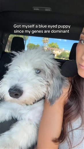 @Alex Illustrates Blue eyes can’t compete against my brown eyes | Sarah Illustrates