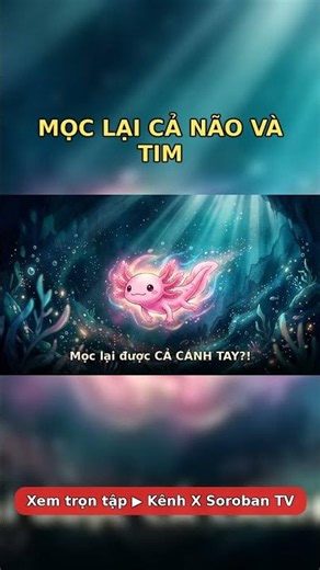 Mọc lại cả NÃO và TIM — kỳ giông Axolotl?! 🦎 #shorts