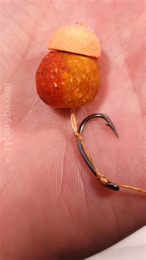 THE ONLY RIG YOU NEED! Simple Carp Rig 🎣#carprig #carpfishing #fishing #fishinglife