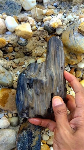 76K views · 904 reactions | Rare unique petrified wood Fossils #gemstones #agate #diamond #jade #petrifiedwood #fyp #fypreels | Rimba Story | Facebook
