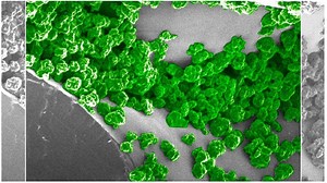 MIT scientists create glow-in-the-dark bionic plants that can be charged with LEDs