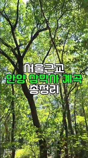 서울근교 수도권 계곡 안양 삼막사계곡에 다녀옴. 주차부터 준비물까지 총정리