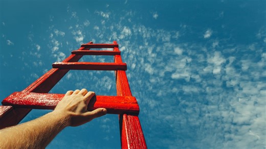 The seven-step toolkit to help you scale successfully – Monash Lens