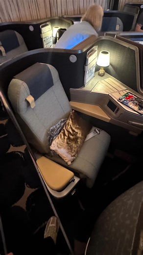 Geoff on Instagram: "Flying business class for the first time with @chinaairlines.au @chinaairlines.tw . . #chinaairlines #businessclass #firstclass #travel #plane #taiwan #sydney #boeing #flightreview #vlog"