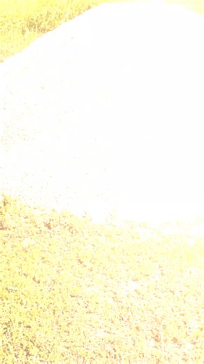 #Our precast home #humblebeginnings #kwami #fyp