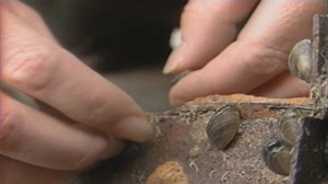 EXOTIC INVADERS -- They can be found in many shapes and sizes. From plants to insects to animals, these invasive species can do lots of damage to the natural environment. This video identifies just a few. -- Kipp@MDC | Missouri Dept. of Conservation