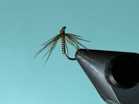 Fly Tying a Blue Winged Olive Soft Hackle with Stripped Peacock Herl and Hungarian Partridge