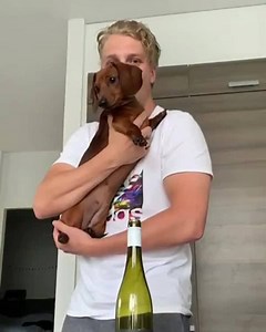 You're barking up the wrong tree if you think there's topping Markus Nutivaara's #BottleCapChallenge. 🐶 (via IG/ mauripellervo) | NHL