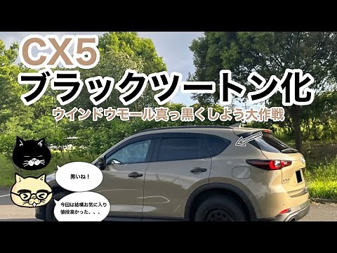 【CX5】ウインドウモールブラックカスタム