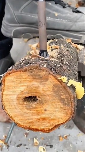 drilling a deep circular hole into a large brown wooden log using sharp electric power tool machine