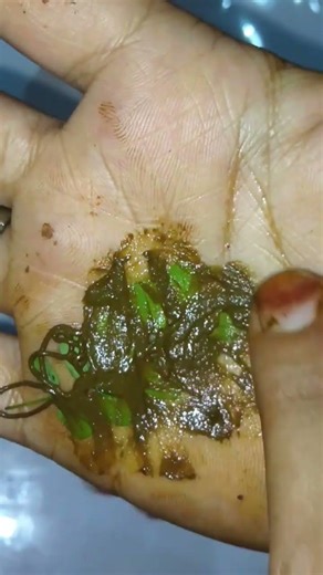 So beautiful leaf 🌿 amazing design idea #shorts #viralvideo #mehndi #art #hina #viral