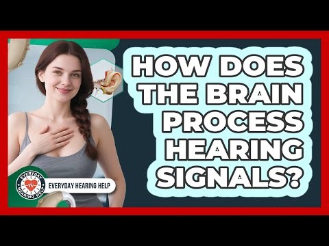 How Does The Brain Process Hearing Signals?