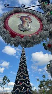 7.5K views · 2K reactions | Christmas has arrived at Disney’s Hollywood Studios! | See WDW | Facebook