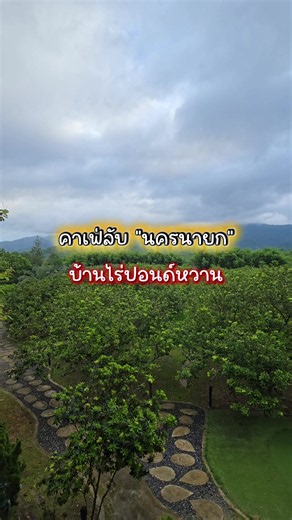 คาเฟ่ลับนครนายก ใกล้อ่างเก็บน้ำทรายทอง บ้านไร่ปอนด์หวาน