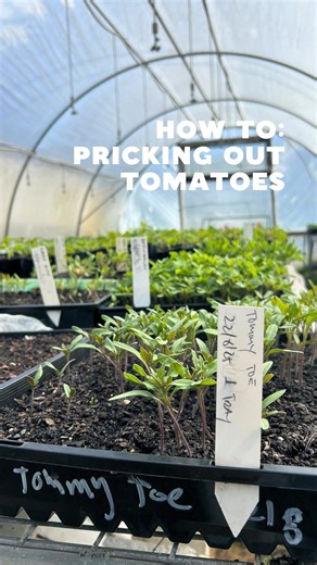 2.2K views · 965 reactions | Step into propagation with Kelly and...