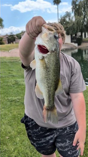 Nice Largie on a Black and blue Chatterbait release #fishing #bassfishing #angler #masterangler
