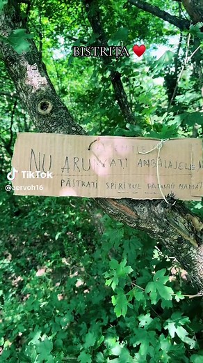 Exploring Bistrita: A Cultural Gem in Romania