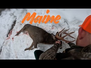 Solo Tracking a Big Woods Buck in Freezing Rain! | Self-Filmed Maine Muzzleloader Hunt