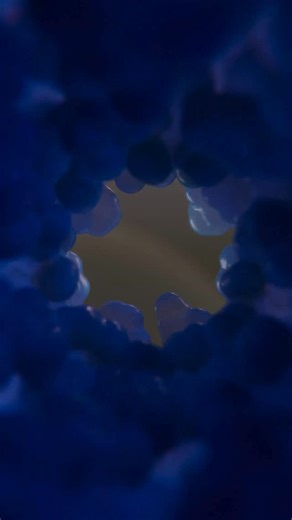 Nature on Instagram: "The Nature’s 10 list recognizes important scientific trends and discoveries over the course of a year and tells the stories of the people involved. It is compiled by Nature’s editors to highlight some of the most influential research and important developments shaping our world. ⁠ ⁠ This year’s selection acknowledges scientists peering into the farthest reaches of the Universe and the deepest depths of the ocean, as well as a civil servant who stood up for evidence-based pu