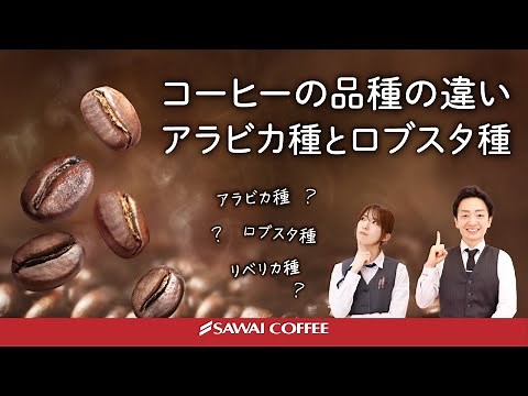 【徹底解説】コーヒーの品種の違いを徹底解説！