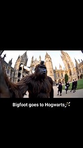 Bigfoot goes to Hogwarts ⚡️🧹🪄 #harrypotter #Bigfoot #hogwarts #fbreels | Sasquatch Unfiltered
