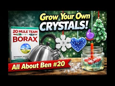 ALL About Ben # 20 Grow Your Own Crystals at Home! Borax Crystal Experiment (Easy DIY Ornaments!)