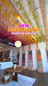 121K views · 11K reactions | ✨BRAND NEW DRIED FLOWER SHOP IN DALLAS...